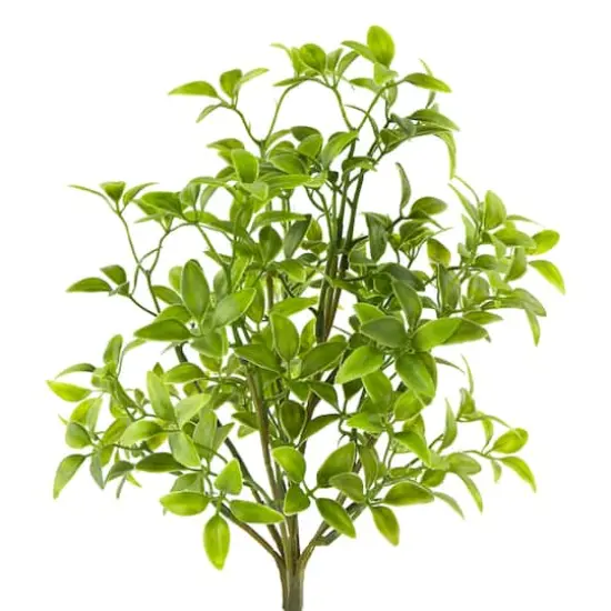 Tea Leaves Bush by Ashland&reg; {3}
