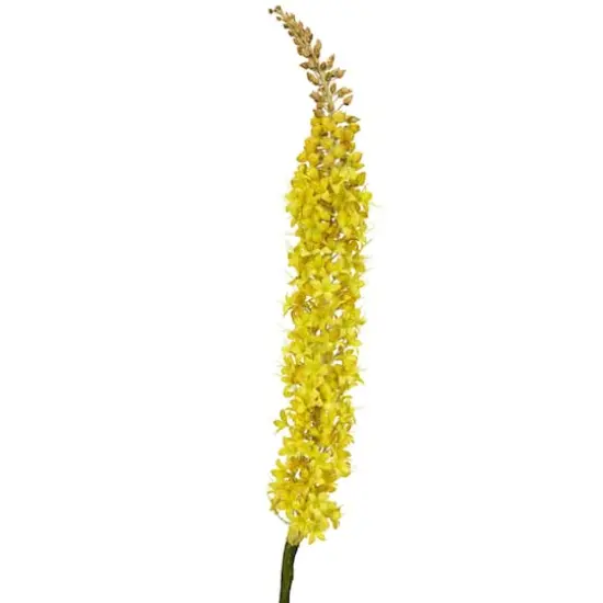 Yellow Foxtail Stem, 3ct. {3}