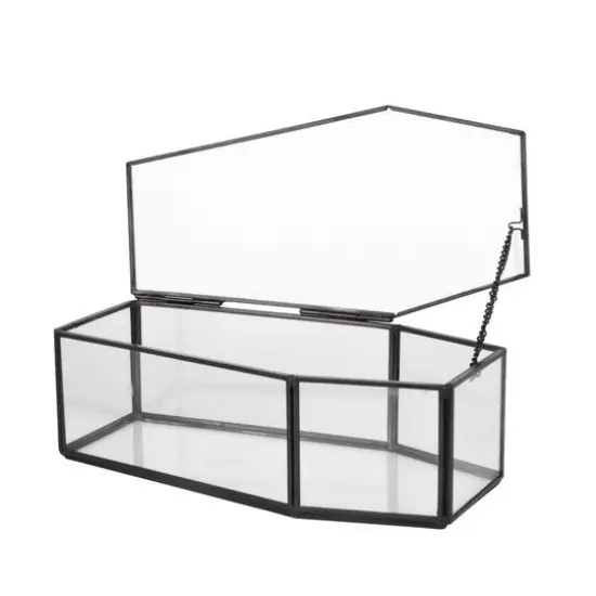 Coffin Terrarium by Ashland&reg; {3}