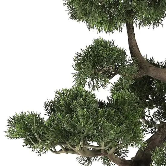 3ft. Potted Cedar Bonsai Plant {3}