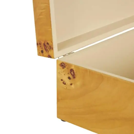 Brown Wood Storage Box with Natural Wood Grains & Silver Latches, 2ct. {5}