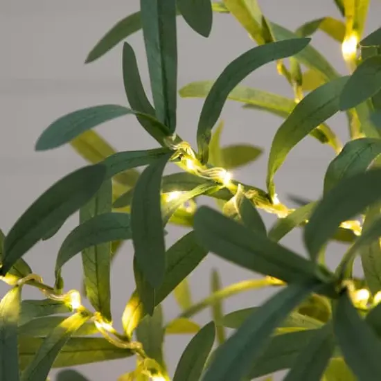4ft. Pre-Lit Artificial Olive Tree with Warm White LED Lights {5}