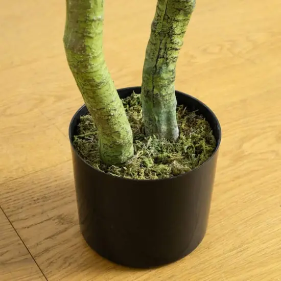 4ft. UV Resistant Artificial Bird Nest Fern Tree (Indoor/Outdoor) {6}