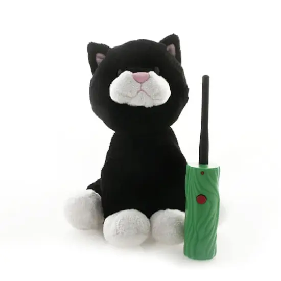 Hide & Seek Pals - Kupcake the Kitten {1}