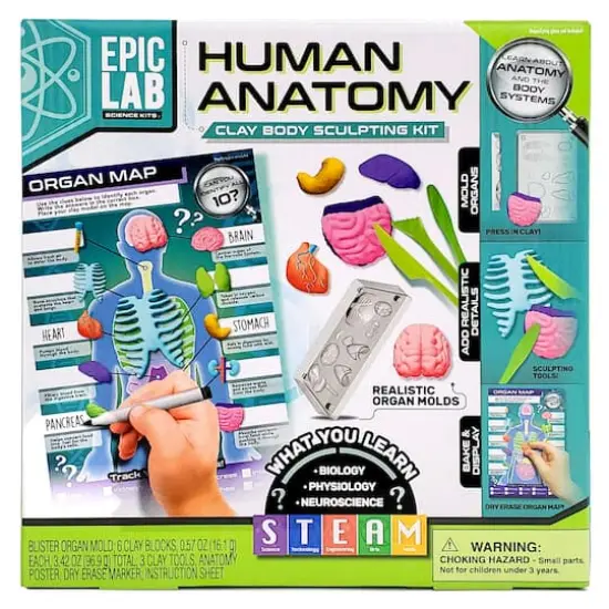 ArtSkills&reg; Epic Lab Human Anatomy STEM Kit {1}
