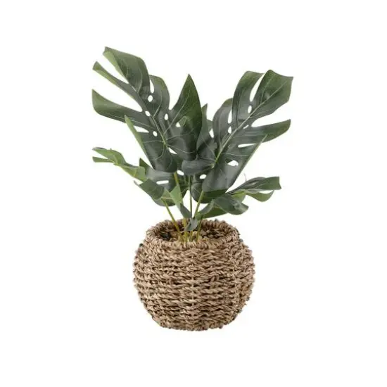 Flora Bunda&reg; 6" Split Leaf In Basket {1}