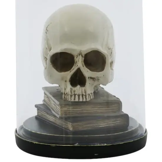9.5" Skull on Books Cloche Tabletop D&eacute;cor by Ashland&reg; {3}