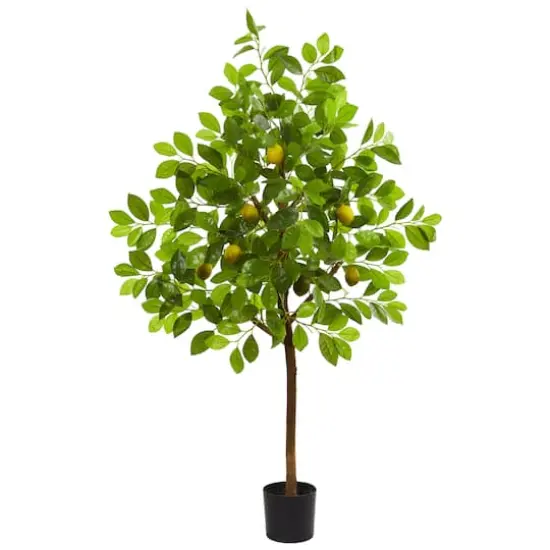 4ft. Potted Lemon Tree {1}