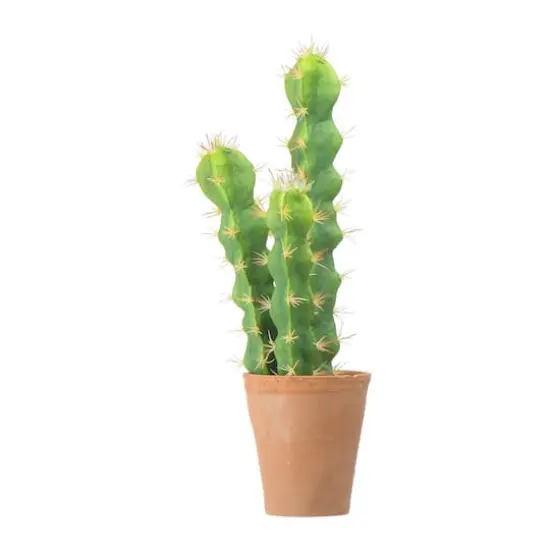 Hello Honey&reg; 18" Cereus Cactus in Terra Cotta Colored Pot {1}