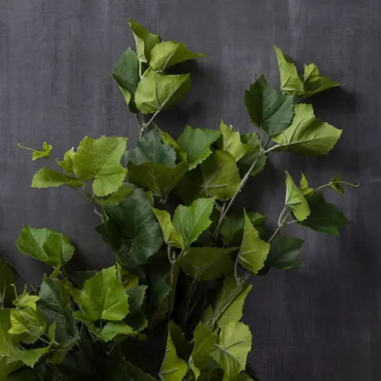 Green Hanging Grape Leaf Bush by Ashland&reg; {3}