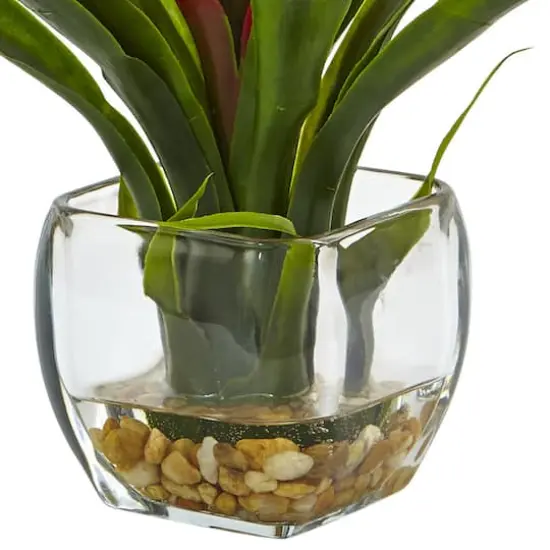 12" Red Bromeliad Arrangement in Glass Vase {3}