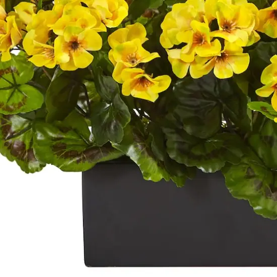 13" Yellow Geranium in Rectangular Planter {4}
