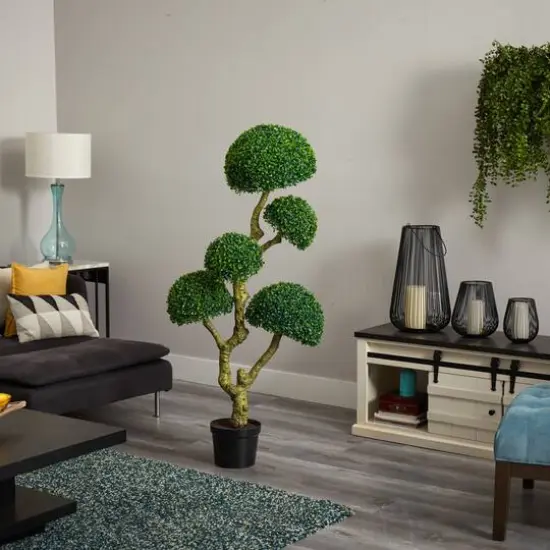5ft. Potted Boxwood Tree {6}