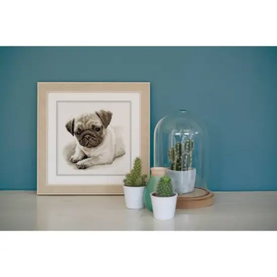 Vervaco Pug Dog on Aida Counted Cross Stitch Kit {3}