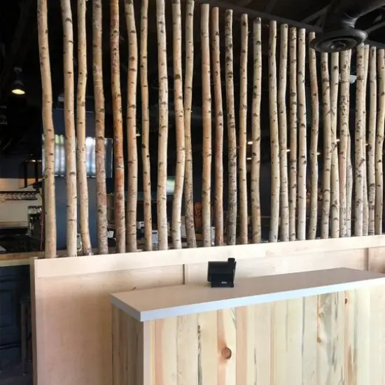 Wilson&reg; Enterprises White Birch Pole Pack {6}