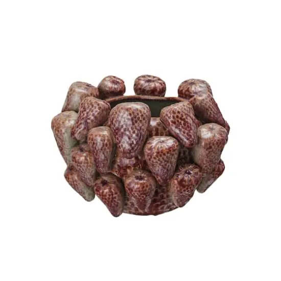 Hello Honey® 5.25" Berry Delight 3D Strawberry Stoneware Planter Vase {3}
