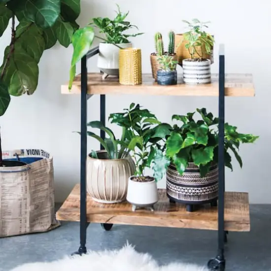 Hello Honey&reg; 8" Black Patterned Round Stoneware Flower Pot {3}