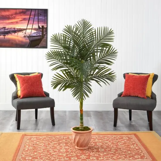 5ft. Golden Cane Palm Tree in Terra-Cotta Planter  {4}