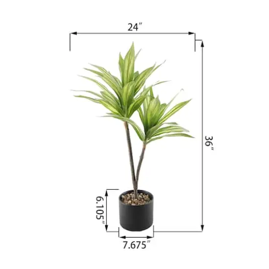 Flora Bunda&reg; 3ft. Palm in Black Ceramic Planter {4}