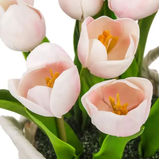 10" Tulip Bouquet in White Basket Light Pink {5}