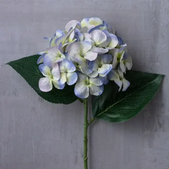 25" Hydrangea Stem by Ashland&reg; Indigo and Green {3}