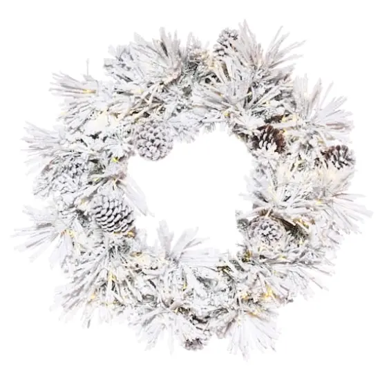 24" Pre-Lit Flocked Atka Christmas Wreath, Warm White LED Lights {1}