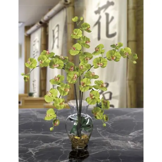 2.5ft. Moth Orchid Liquid Illusion Silk Flower Arrangement Green {4}