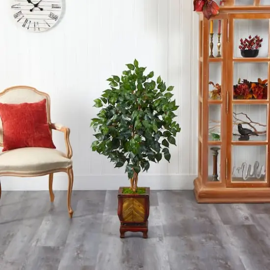4ft. Ficus Tree in Decorative Planter {4}