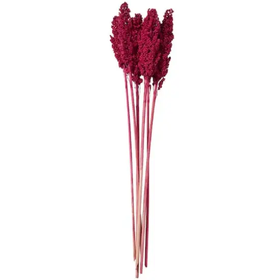 Dried Corn Maize Natural Foliage with Long Stems Pink {1}