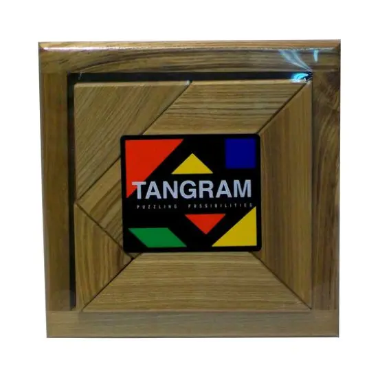Tangram Brain Teaser Puzzle {1}