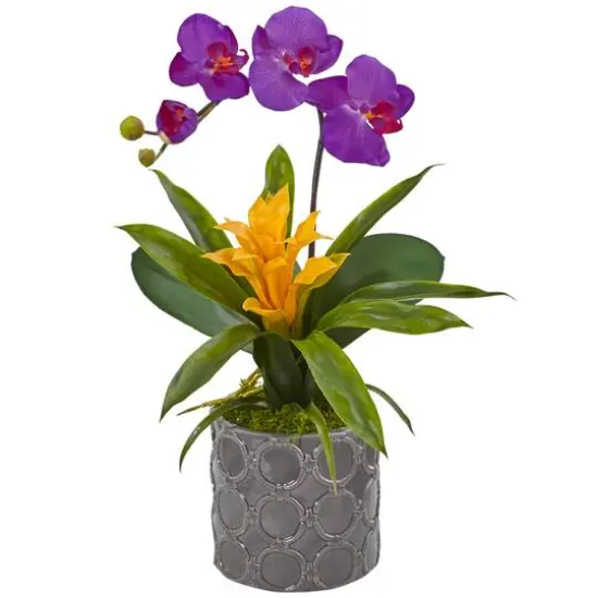 17" Mini Moth Orchid & Bromeliad Silk Arrangement in Gray Cylinder Vase Orchid/Gold {1}