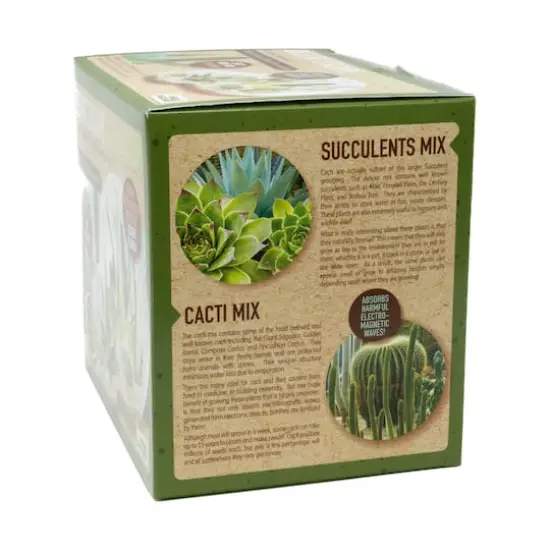 Double Sphere Glass Terrarium - Desert Escape Growarium {6}