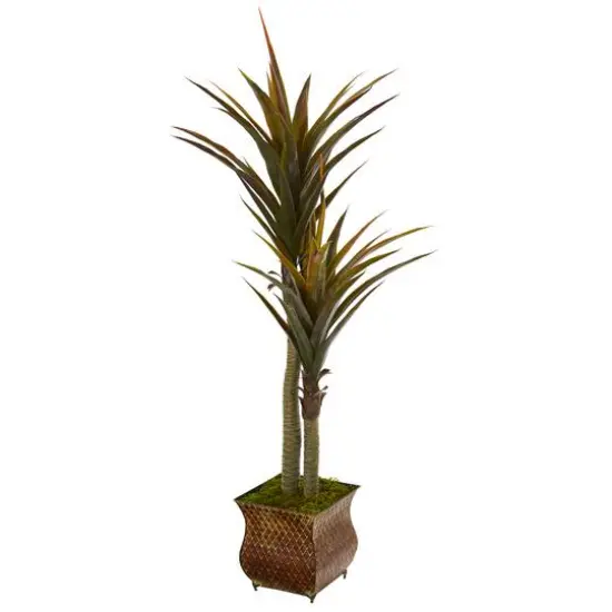 5ft. Green Yucca Tree in Decorative Planter {1}