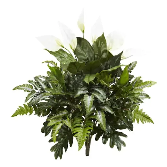 Peace Lily, Philodendron, and Fern Bush, 2ct. {1}