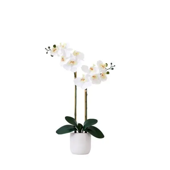 26" Artificial Real Touch White Double Orchid Phalaenopsis with Decorative Vase {1}