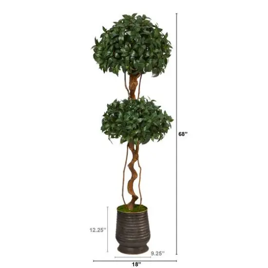 5.5ft. Sweet Bay Double Ball Topiary Tree in Ribbed Metal Planter {3}