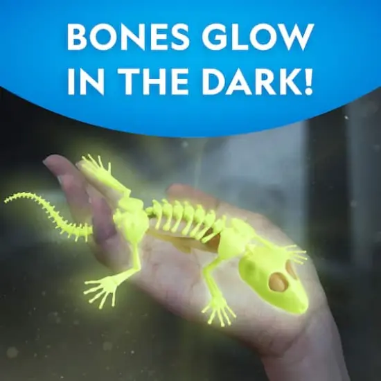 National Geographic&trade; Glow-in-the-Dark Gecko Dissection Lab {5}