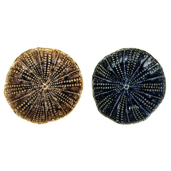 Hello Honey&reg; 6.25" Multicolor Embossed Dots Stoneware Dish Set {10}