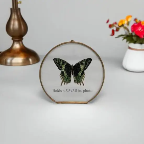 Hello Honey&reg; Brass & Glass 5.5" x 5.5" Photo Frame {6}