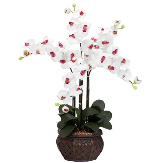 2.5ft. Moth Orchid Silk Flower Arrangement in Decorative Vase White {1}