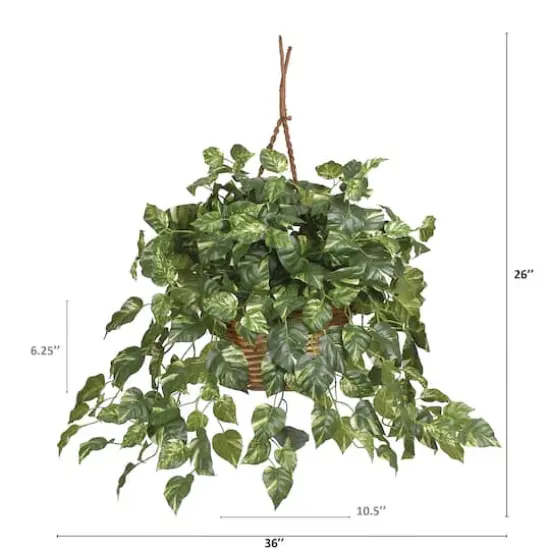 2ft. Pothos In Hanging Basket {7}