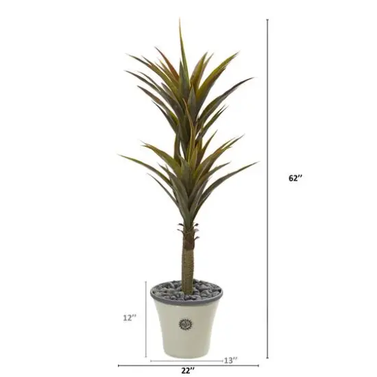 5ft. Yucca Tree in Decorative Planter {3}
