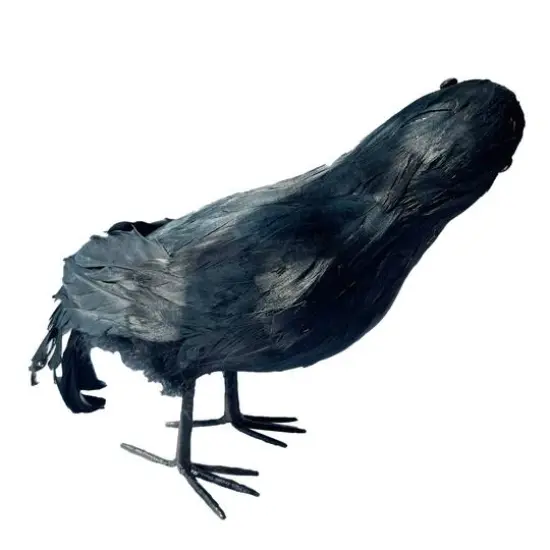 7.5" Iridescent Black Crow by Ashland&reg; {3}