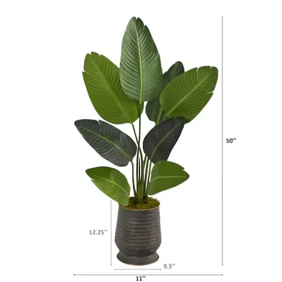 4ft. Travelers Palm Tree in Metal Planter {3}