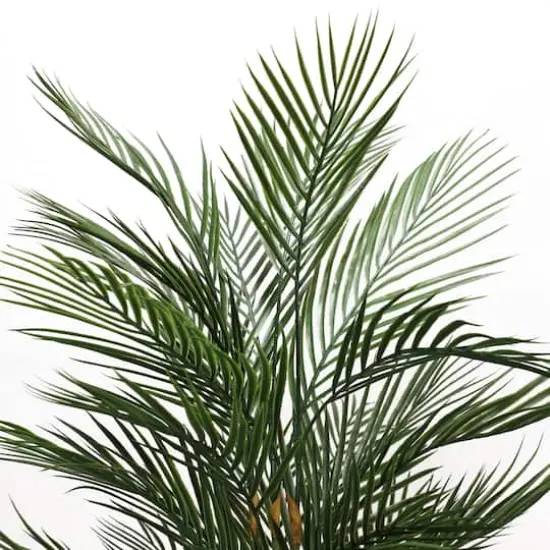 5.25ft. Potted Areca Palm Tree {5}