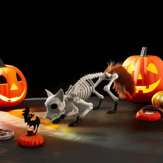 17.75" Fox Skeleton Décor by Ashland® {4}