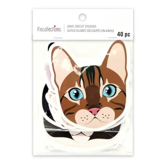 Cats Vinyl Die Cut Stickers by Recollections&trade; {5}