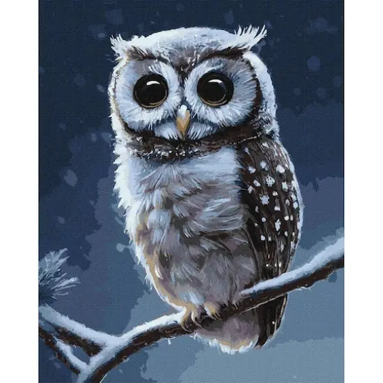Ideyka Forest Owl Painting by Numbers Kit {1}