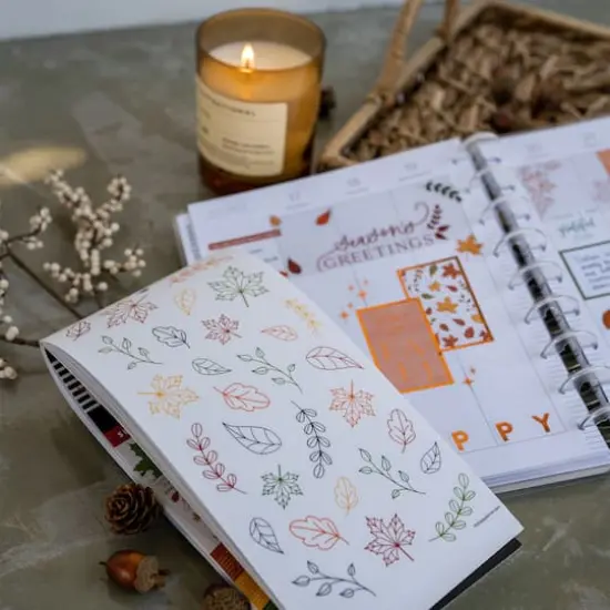 The Happy Planner&reg; Seasonal Fall Value Pack Stickers {5}