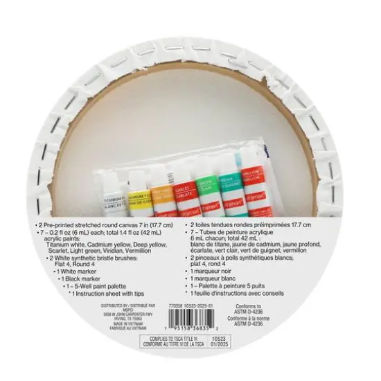 7" Fruit Round Canvas Painting Kit by Craft Smart&reg; {7}